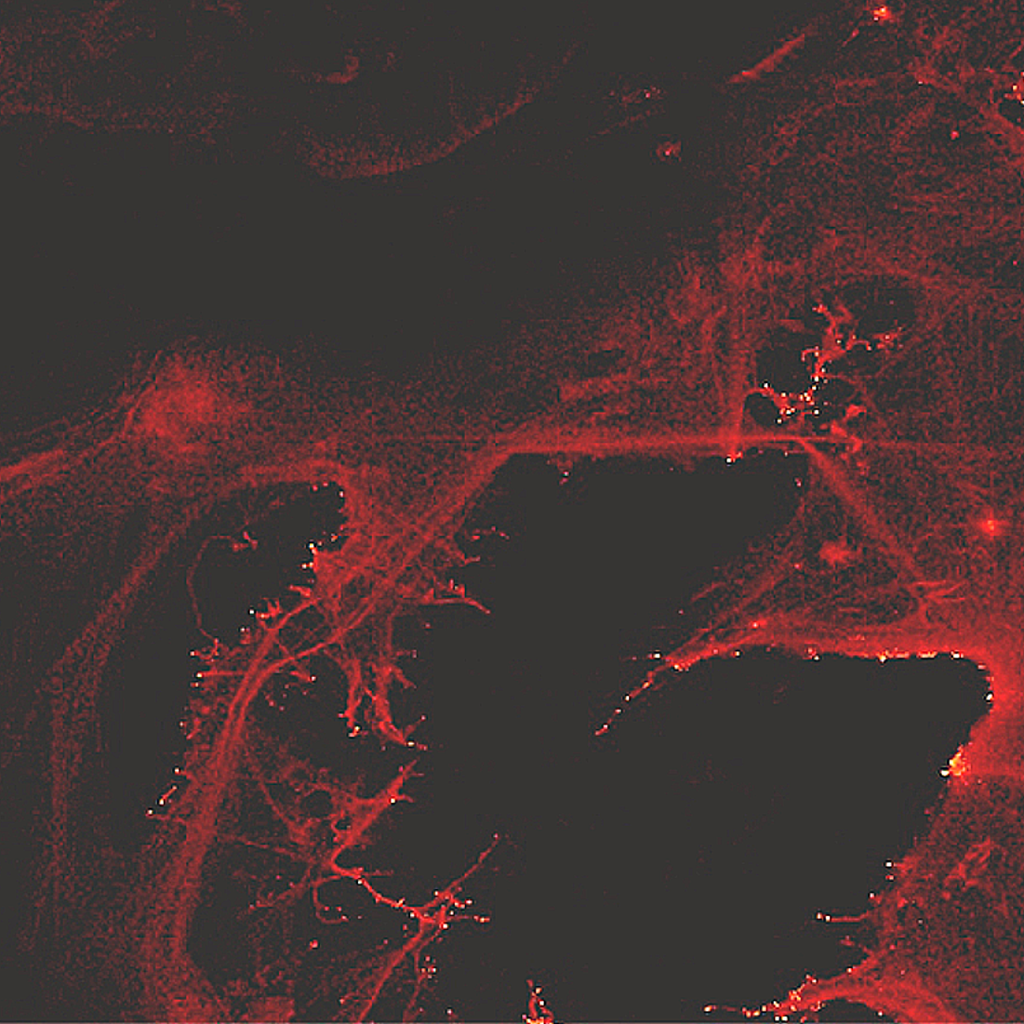 Geography of Behaviour